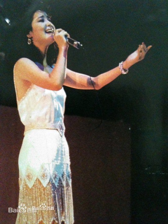 邓丽君(Teresa Teng、テレサ·テン)舞台照图册