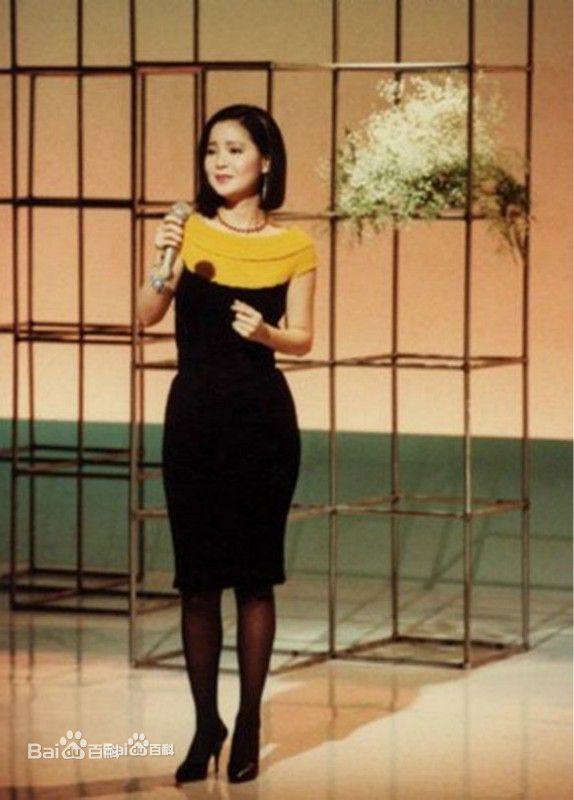 邓丽君(Teresa Teng、テレサ·テン)舞台照图册