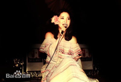 邓丽君(Teresa Teng、テレサ·テン)舞台照图册