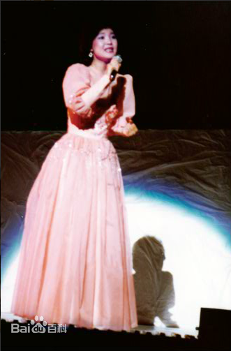 邓丽君(Teresa Teng、テレサ·テン)舞台照图册