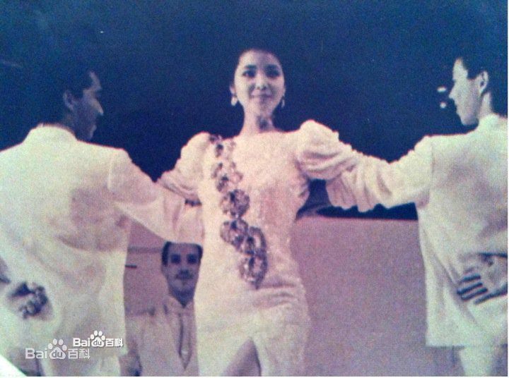 邓丽君(Teresa Teng、テレサ·テン)舞台照图册