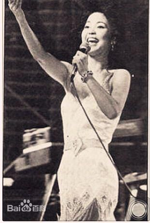 邓丽君(Teresa Teng、テレサ·テン)舞台照图册
