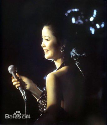 邓丽君(Teresa Teng、テレサ·テン)舞台照图册