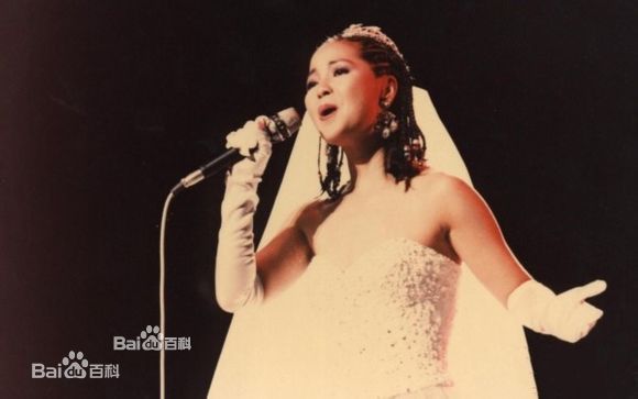 邓丽君(Teresa Teng、テレサ·テン)舞台照图册