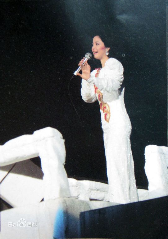 邓丽君(Teresa Teng、テレサ·テン)舞台照图册
