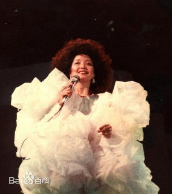 邓丽君(Teresa Teng、テレサ·テン)舞台照图册
