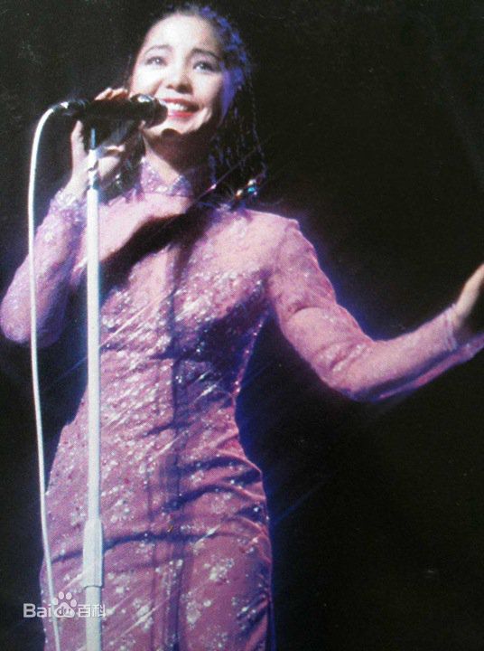 邓丽君(Teresa Teng、テレサ·テン)舞台照图册