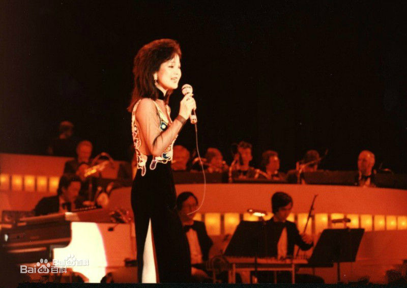 邓丽君(Teresa Teng、テレサ·テン)舞台照图册