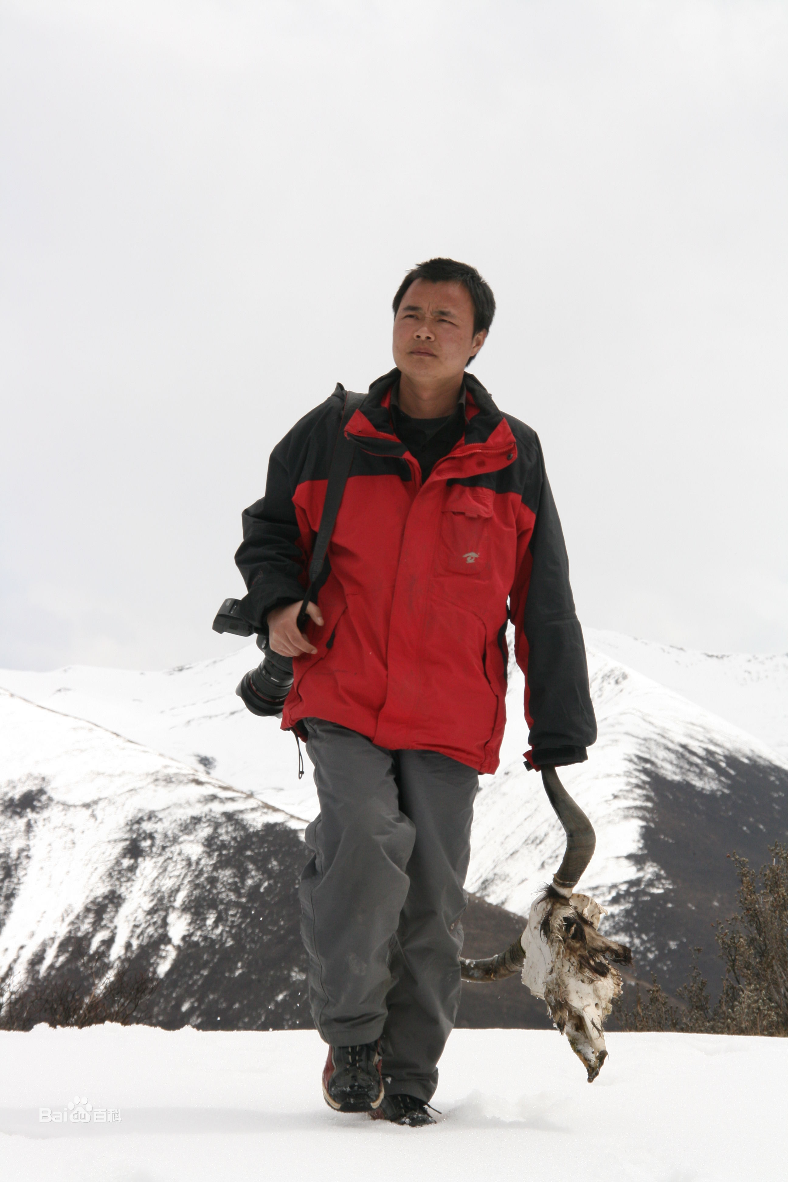 张仁杰(renjiezhang)感恩中国网站创办初期的。图册