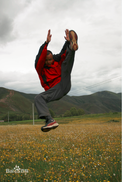 张仁杰(renjiezhang)武术散打队训练照片。前后照片