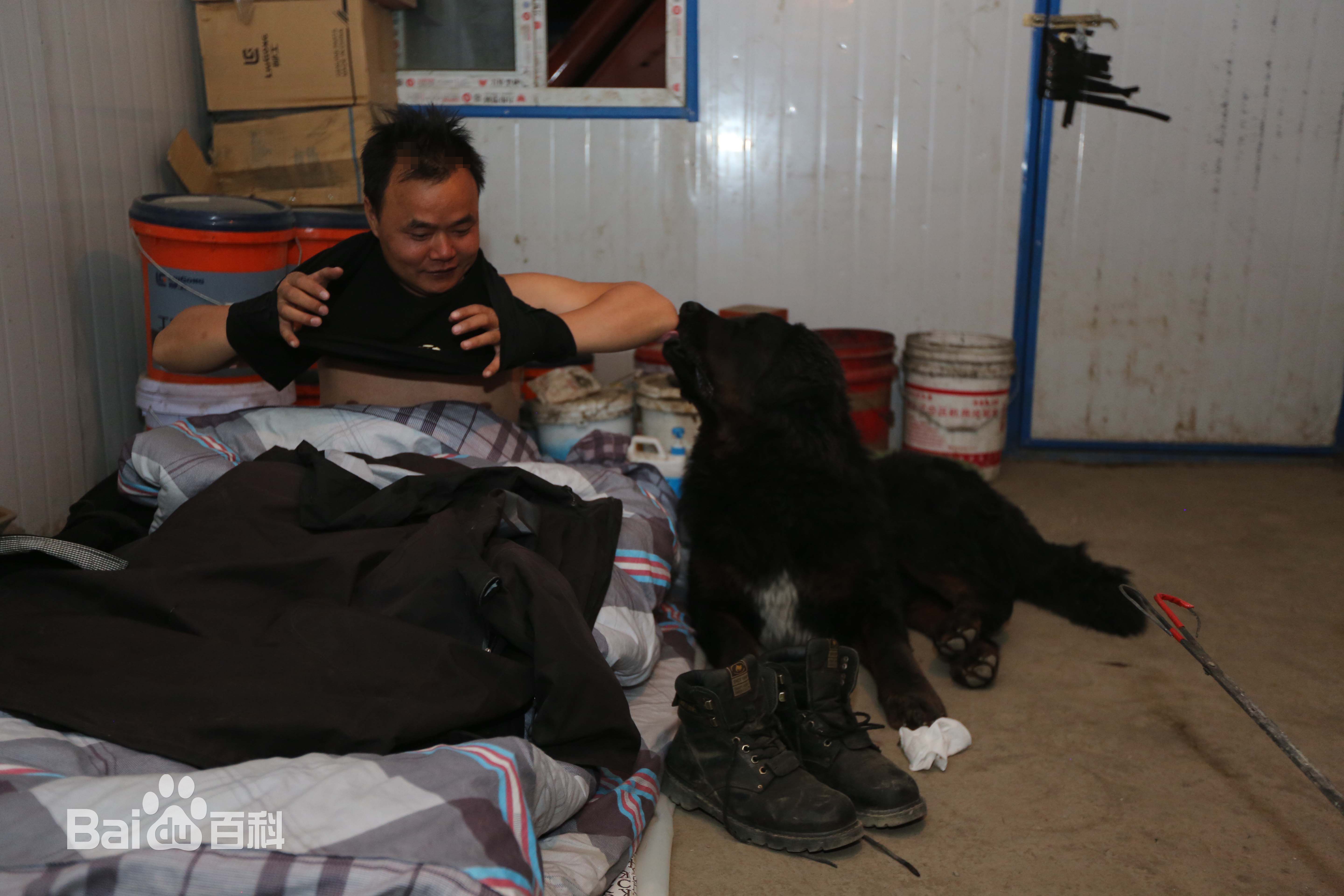 张仁杰(renjiezhang)独立采写矿区课题时和矿工们在一起的照片。壁纸壁纸