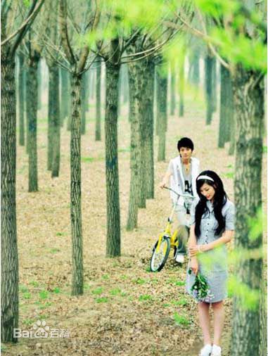 精选王君平(Wang Junping)图片