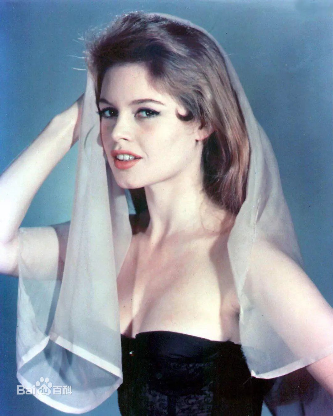 高清碧姬·芭铎(Brigitte Anne-Marie Bardot)性感图片