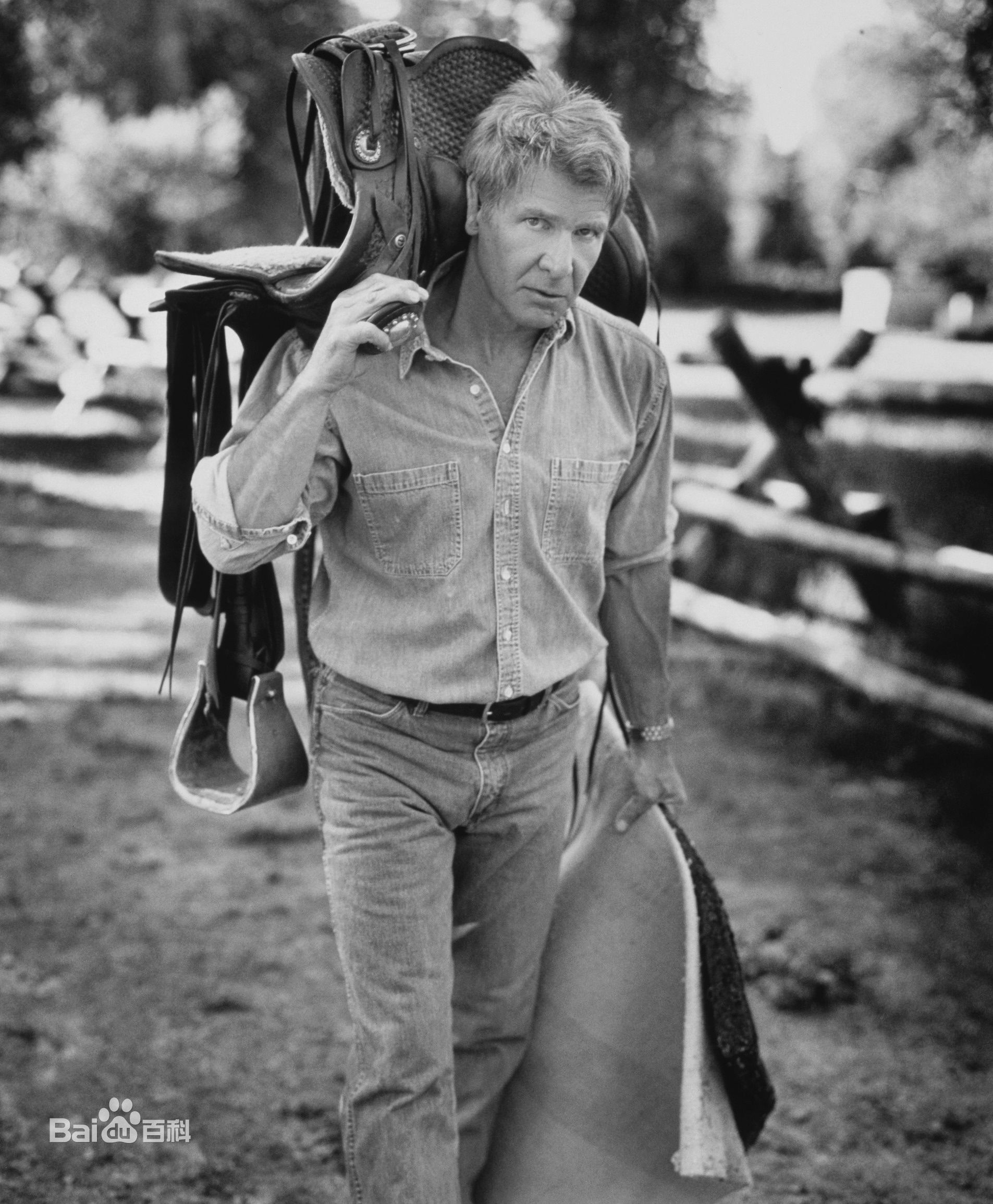 高清哈里森·福特(Harrison Ford)精彩图册