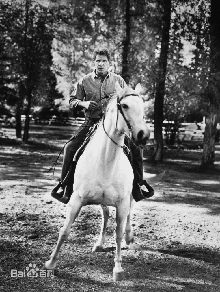 高清哈里森·福特(Harrison Ford)精彩图册