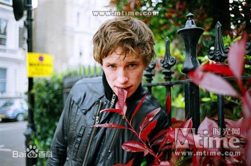 埃迪·雷德梅恩(Eddie Redmayne)埃迪·雷德梅尼素颜照壁纸