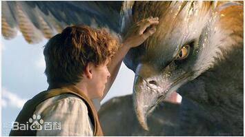 埃迪·雷德梅恩(Eddie Redmayne)神奇动物在哪里素颜照壁纸