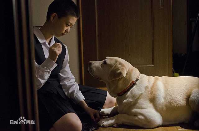 森川葵(もりかわ あおい、Aoi morikawa)チョコリエッタ生活照相册