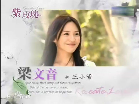 梁文音(Rachel)在紫玫瑰中的精选剧照