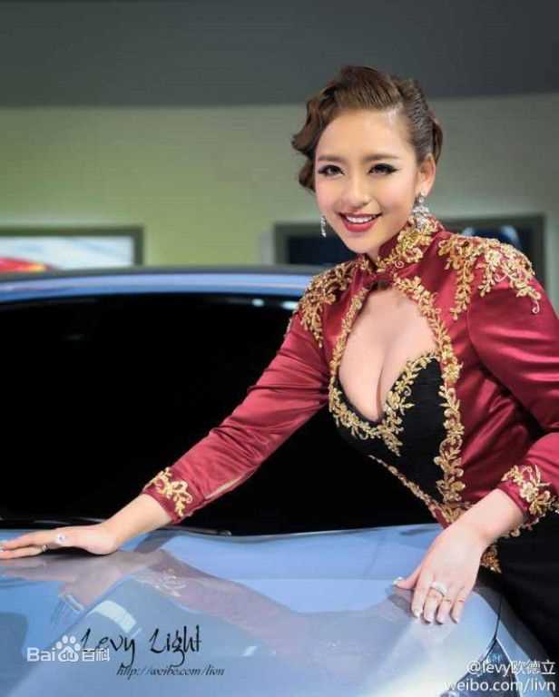 曹阳(Cao Yang)精选2012上海车展华丽图册