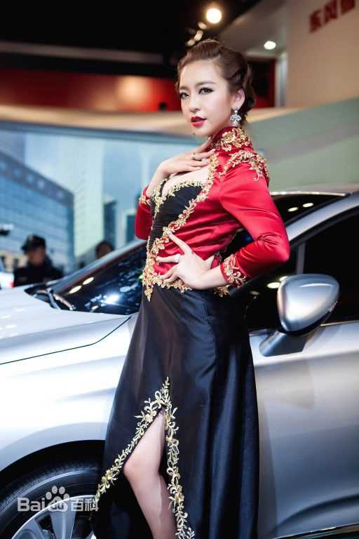 曹阳(Cao Yang)精选2012上海车展华丽图册