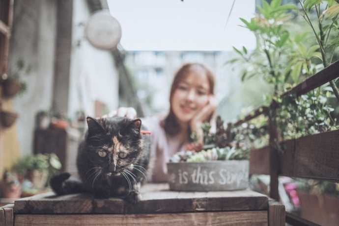 最新纯天然素人少女清纯氧气小清新壁纸