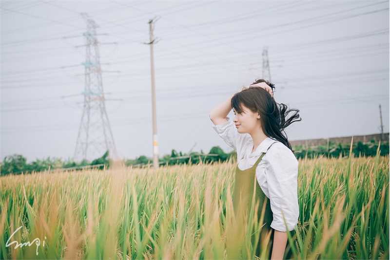 最新清纯美女稻田唯美迷人壁纸