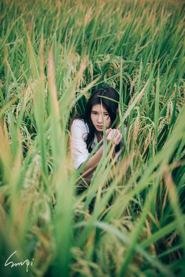 最新清纯美女稻田唯美迷人壁纸