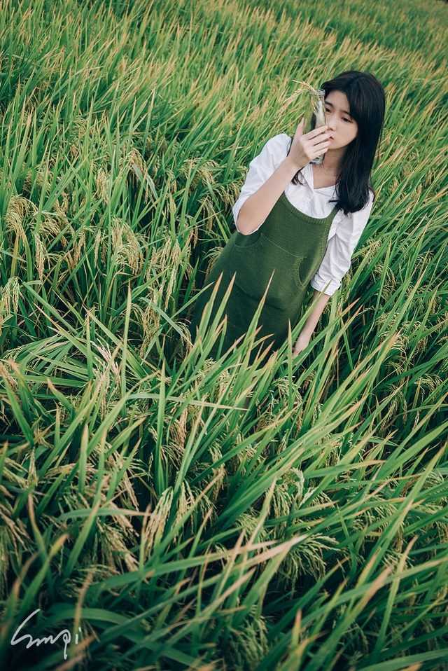 最新清纯美女稻田唯美迷人壁纸