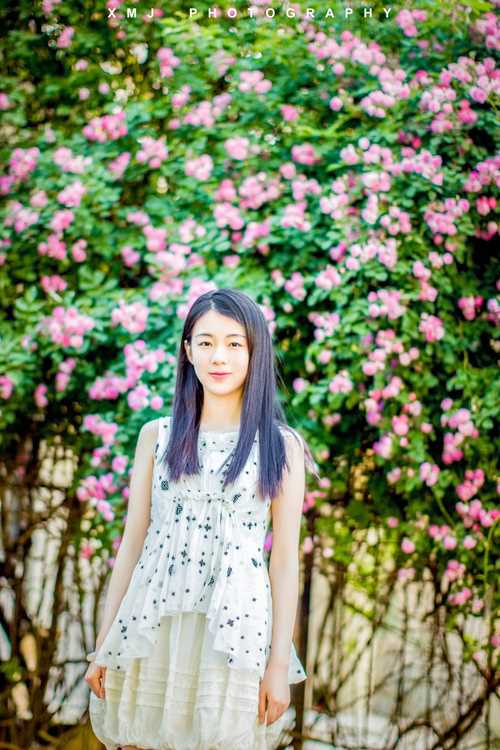 最新好看的清纯唯美女生图片图集