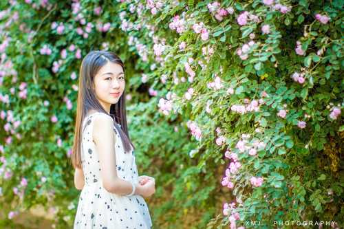 最新好看的清纯唯美女生图片图集