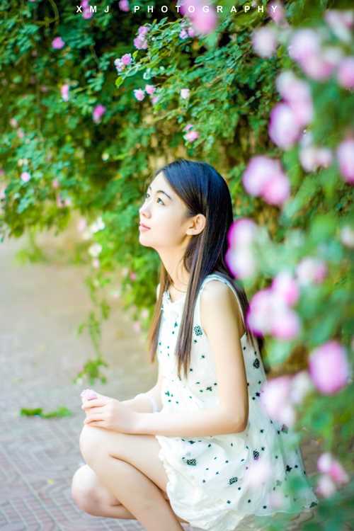 最新好看的清纯唯美女生图片图集