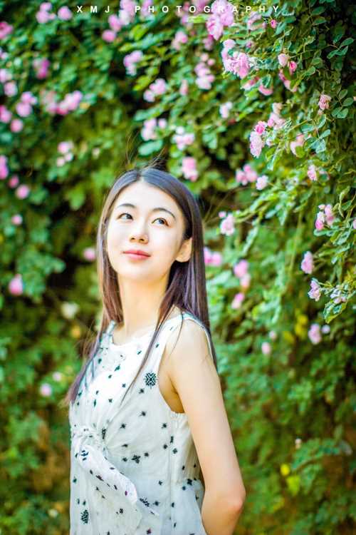 最新好看的清纯唯美女生图片图集