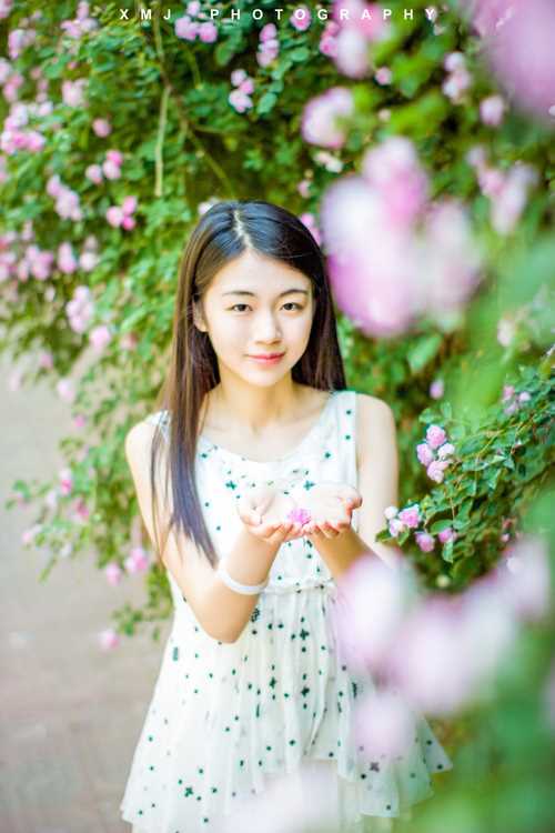 最新好看的清纯唯美女生图片图集