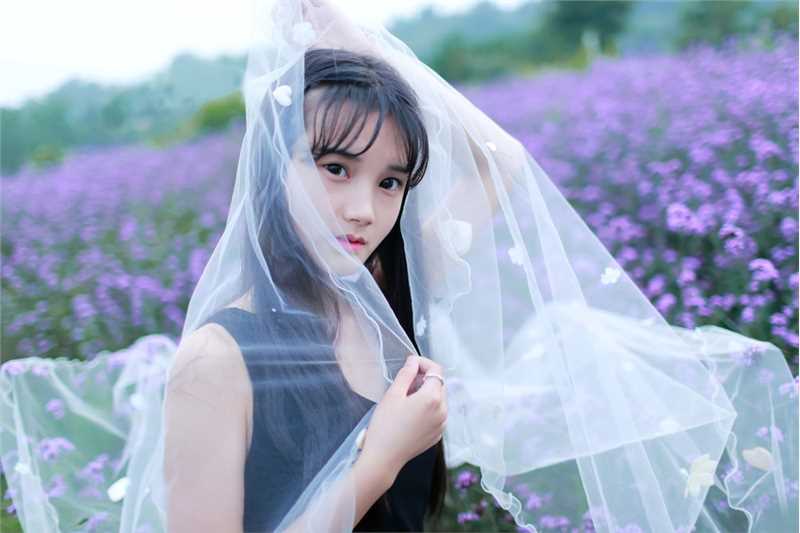 最新清纯美女薰衣草花田高清壁纸