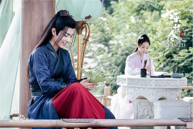 最优质肖战在《陈情令》中的