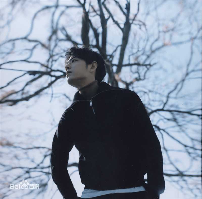 肖战时尚芭莎前后照片