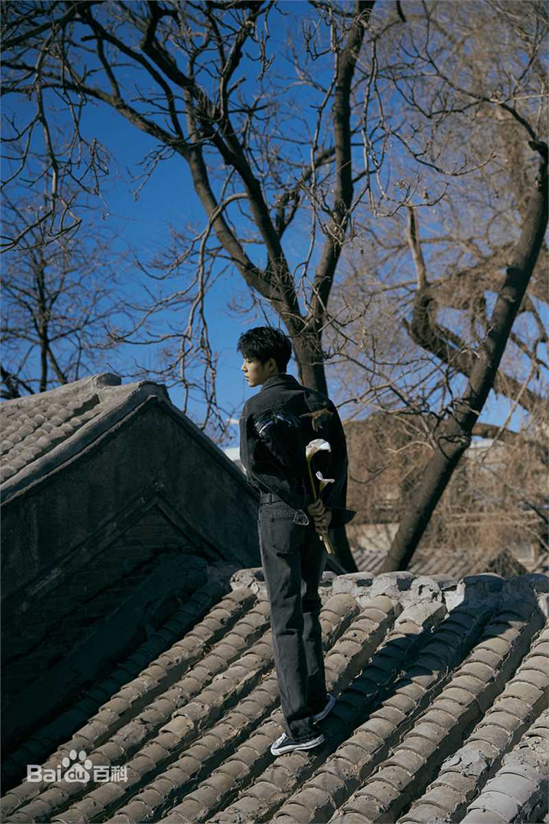 肖战时尚芭莎前后照片