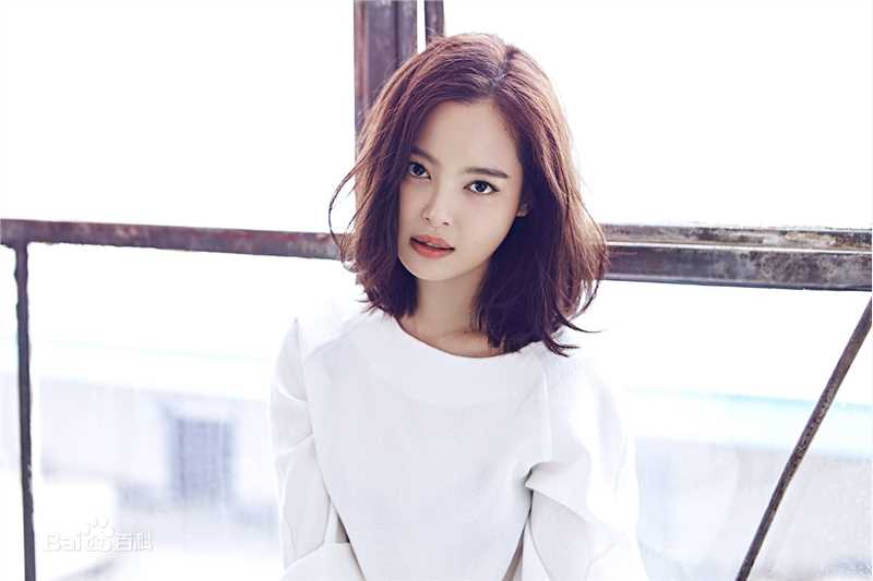 辛芷蕾(Xin Zhilei)最全杂志壁纸