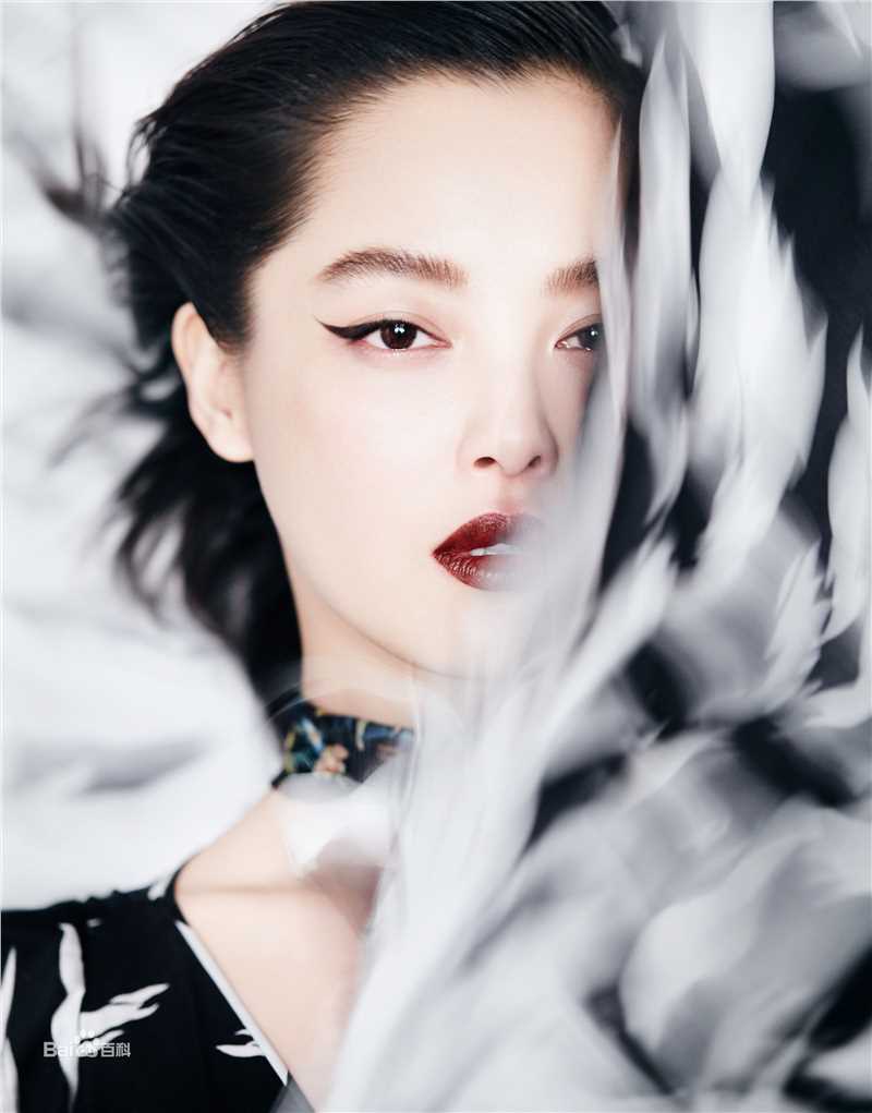 辛芷蕾(Xin Zhilei)最全杂志壁纸