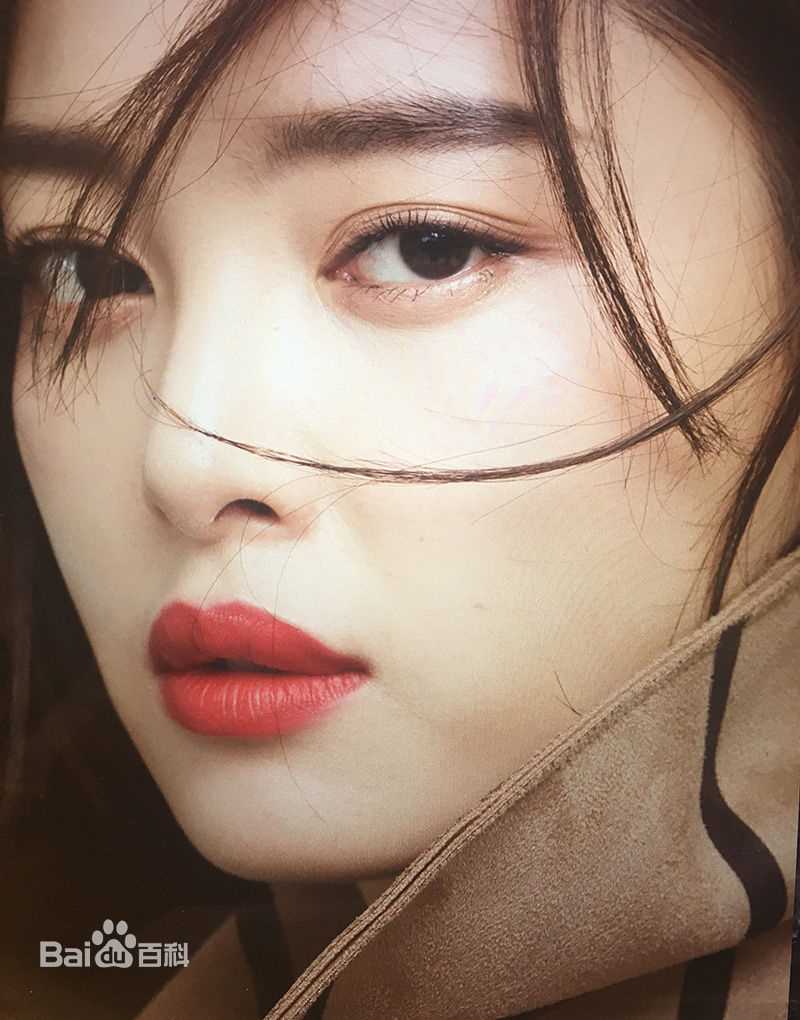 辛芷蕾(Xin Zhilei)最全杂志壁纸