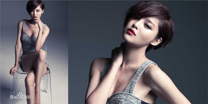 辛芷蕾(Xin Zhilei)