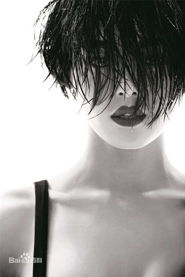 辛芷蕾(Xin Zhilei)