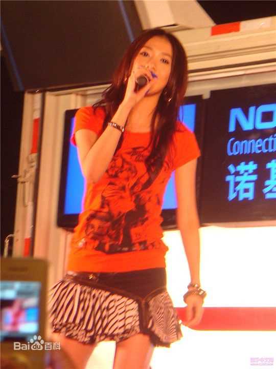 张弦子(Stringer)2008年NOKIA朝拜汇前后照片