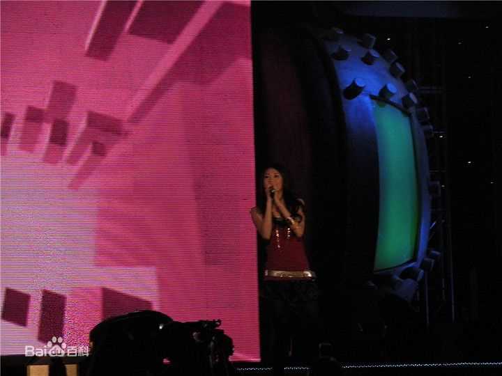 张弦子(Stringer)2008年NOKIA朝拜汇前后照片