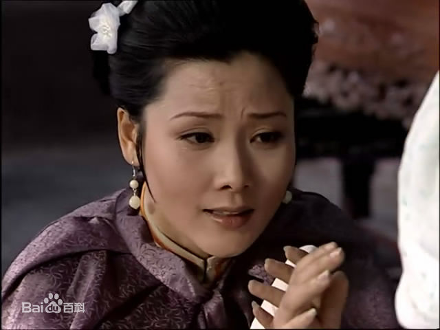 何赛飞(Caifei He)参演电视剧作品(1997-2010)图片图集