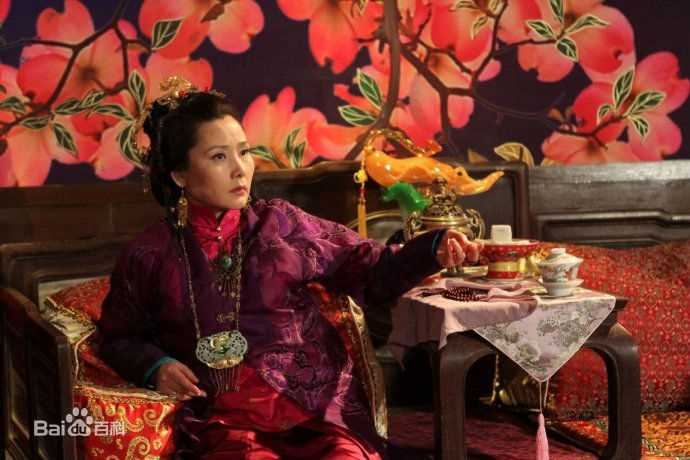 何赛飞(Caifei He)参演电视剧作品(1997-2010)图片图集