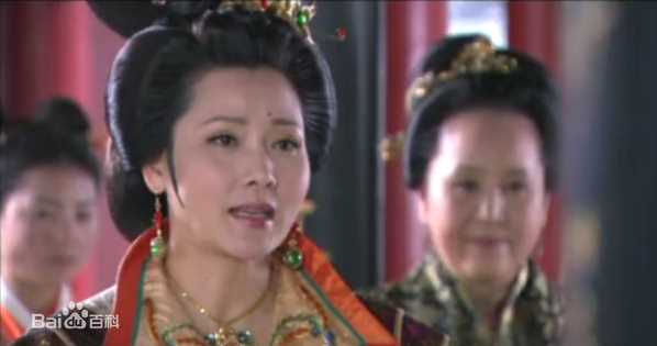 何赛飞(Caifei He)参演电视剧作品(1997-2010)图片图集