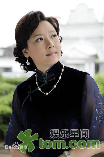 何赛飞(Caifei He)参演电视剧作品(1997-2010)图片图集