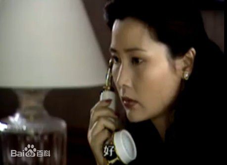 何赛飞(Caifei He)参演电视剧作品(1997-2010)图片图集